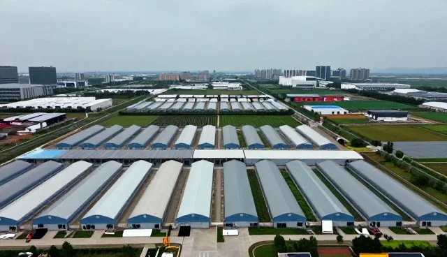 便利店管理系统的选型关键点解析